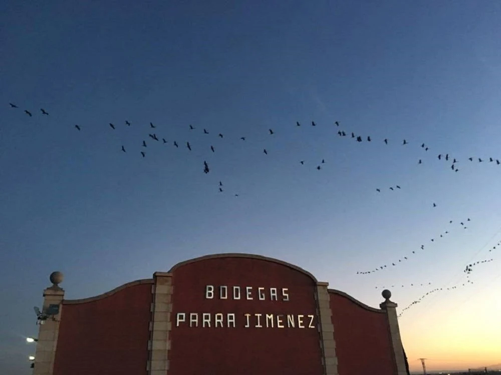 Bodegas Parra Jiménez