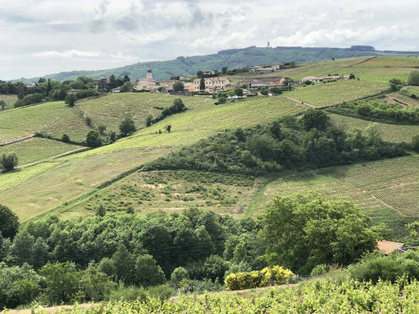 Domaine Chapel