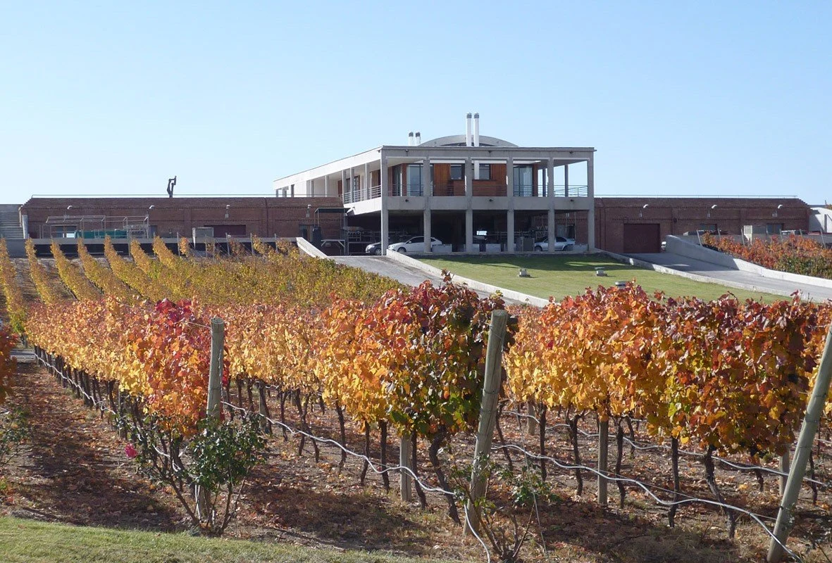 Bodega Monteviejo
