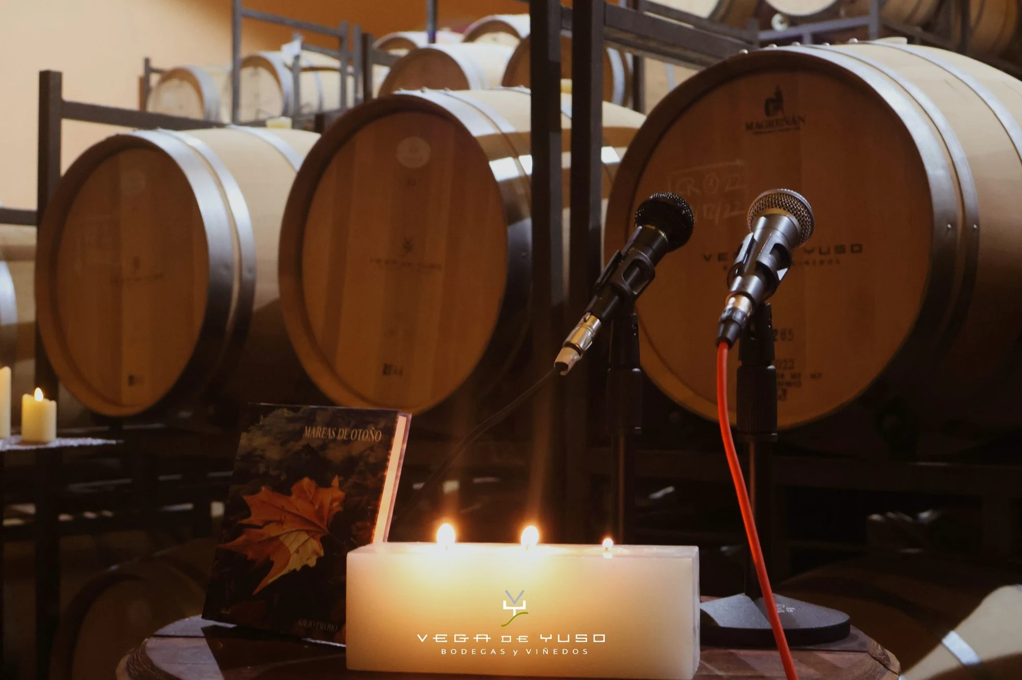 Bodegas Y Viñedos Vega De Yuso