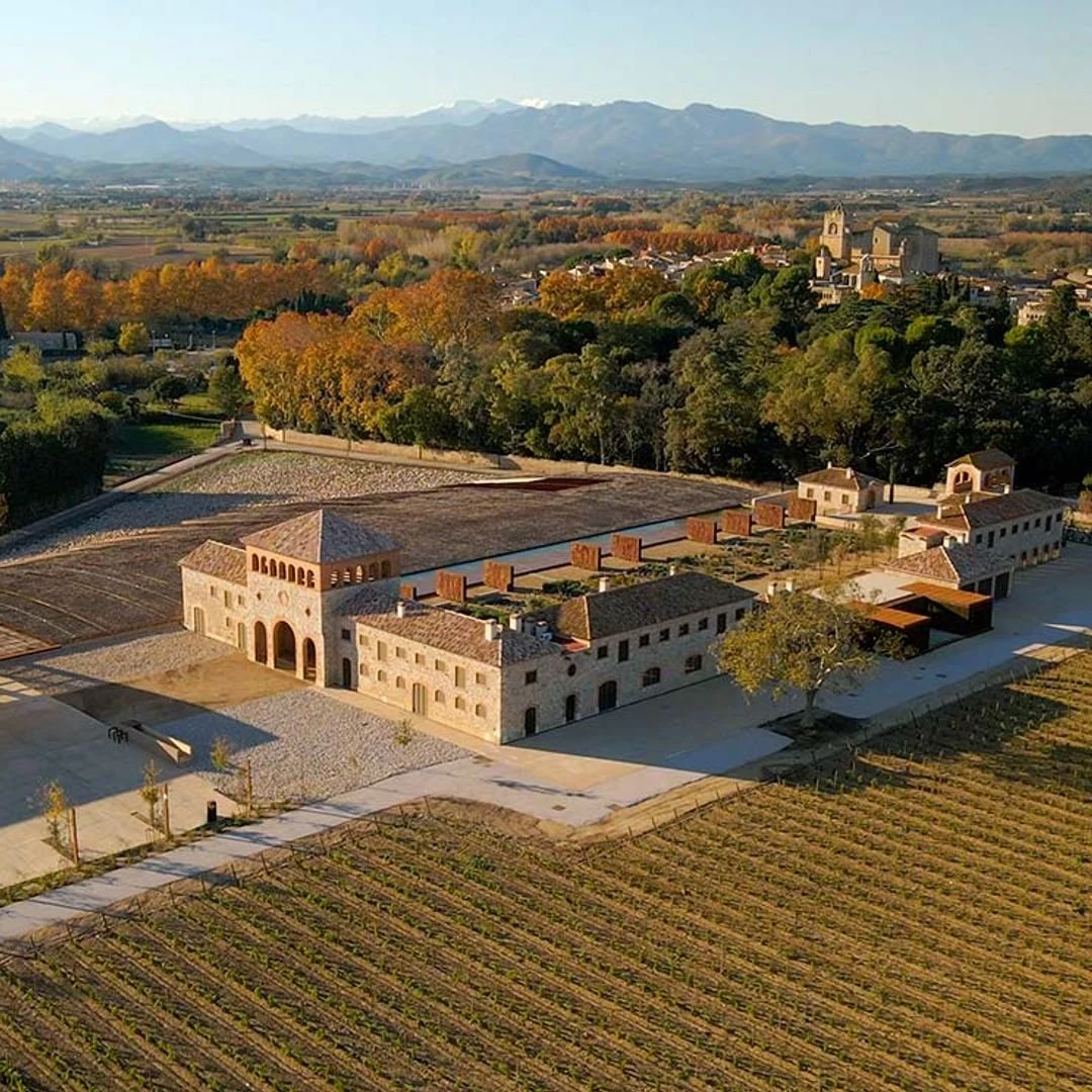 Bodegas Mas Alta