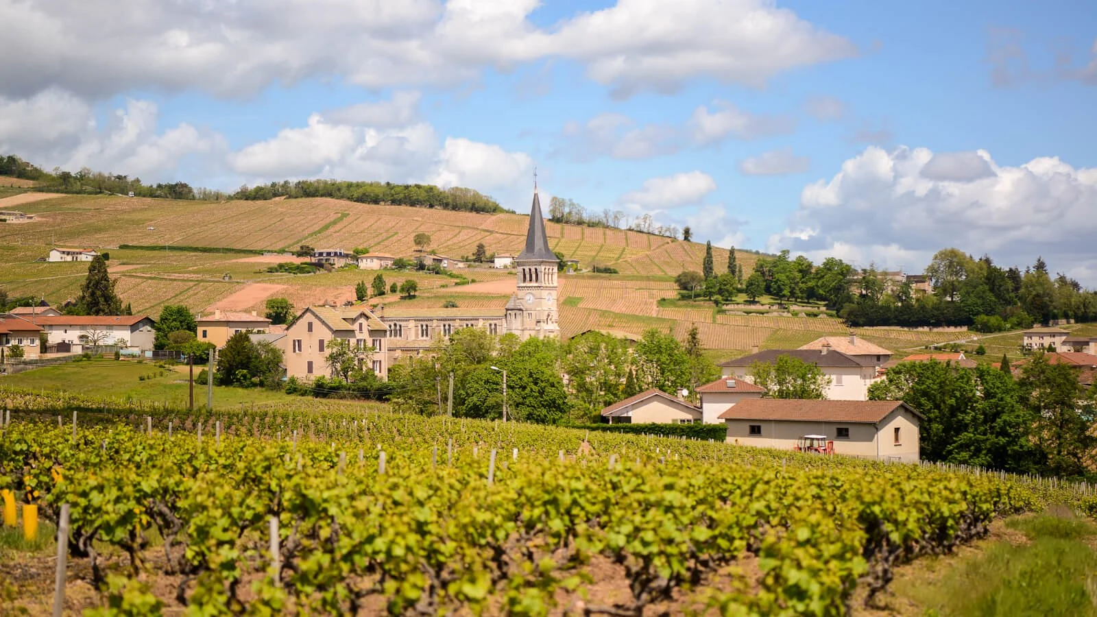 Domaine Anita