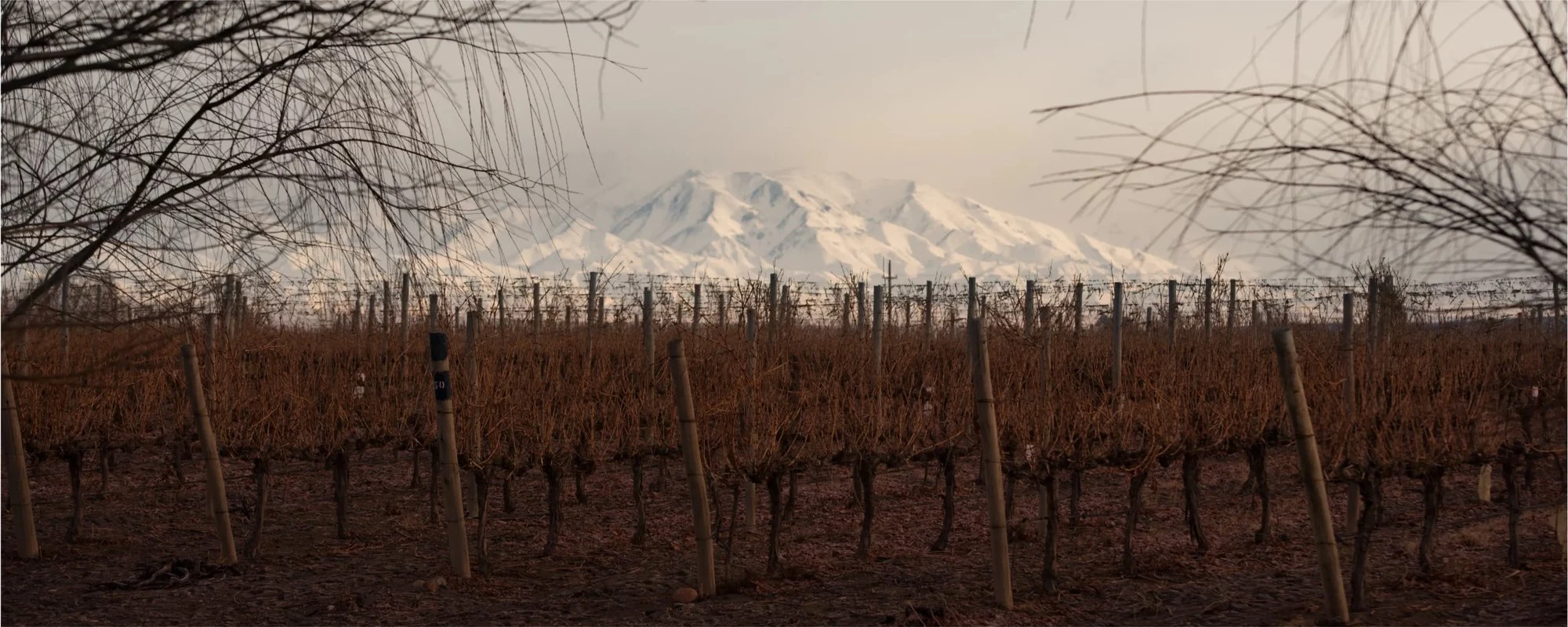 Antigal Winery & Estates