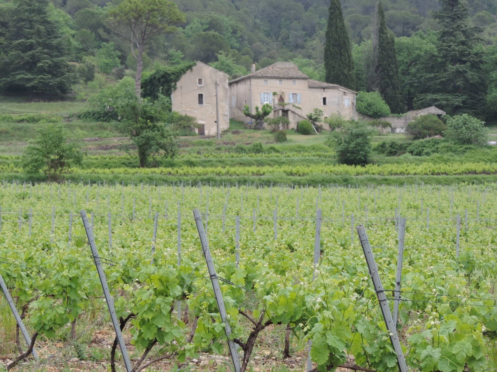 Vignerons Ardéchois