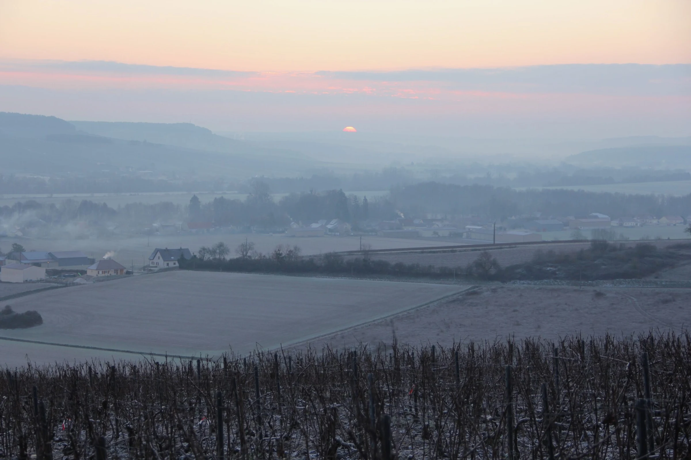 Champagne Piollot
