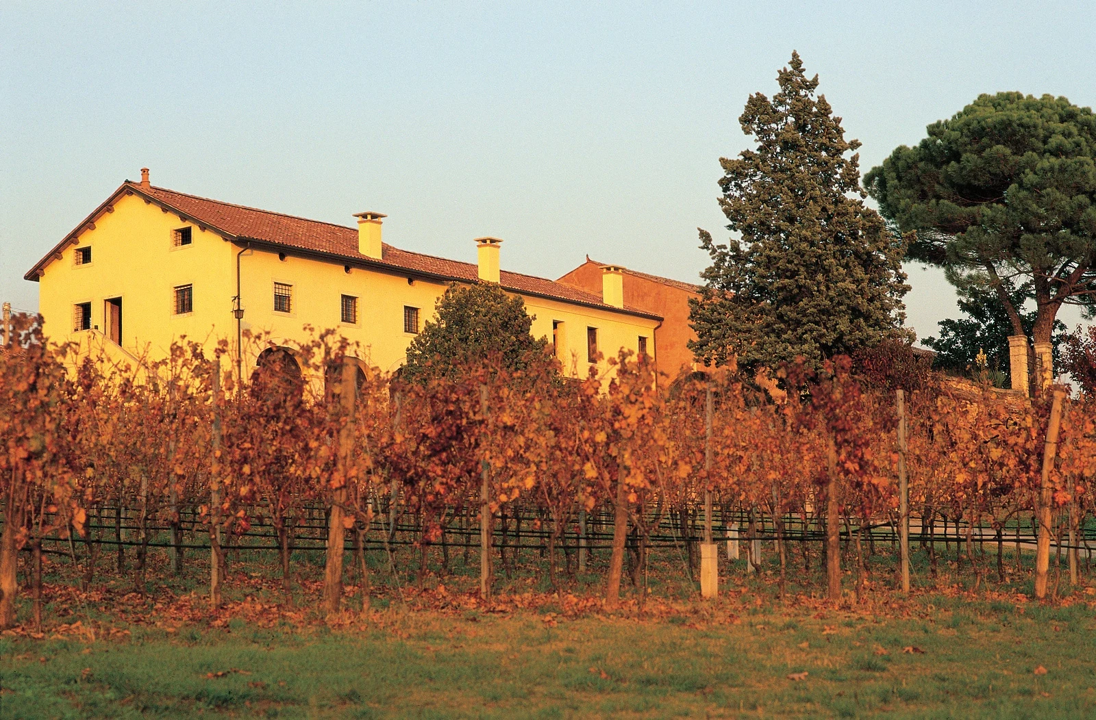 Giuseppe Inama