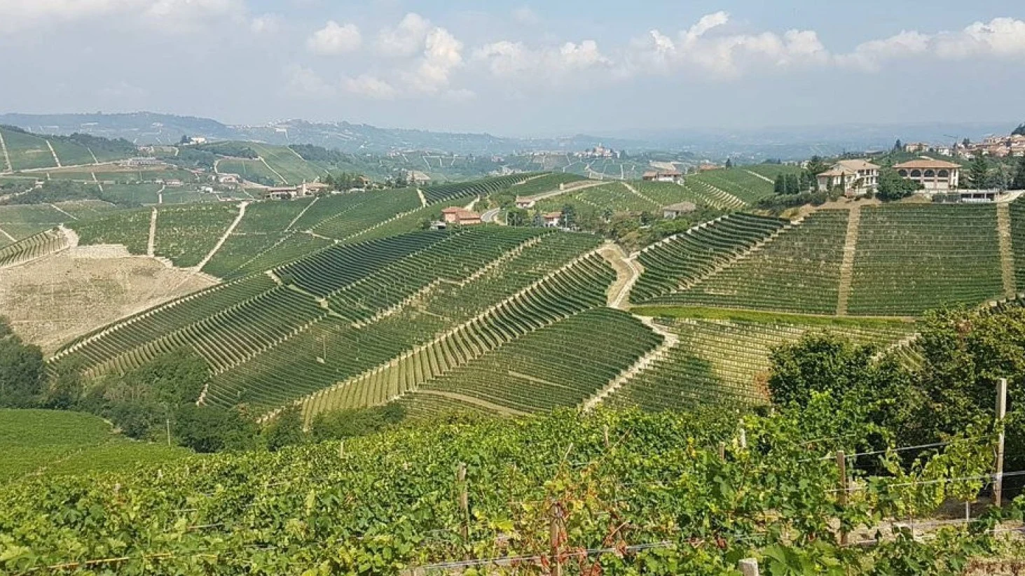 Bruno Giacosa
