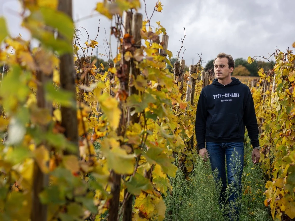Charles Lachaux in the Arnoux-Lachaux vines at Vosne-Romanée.