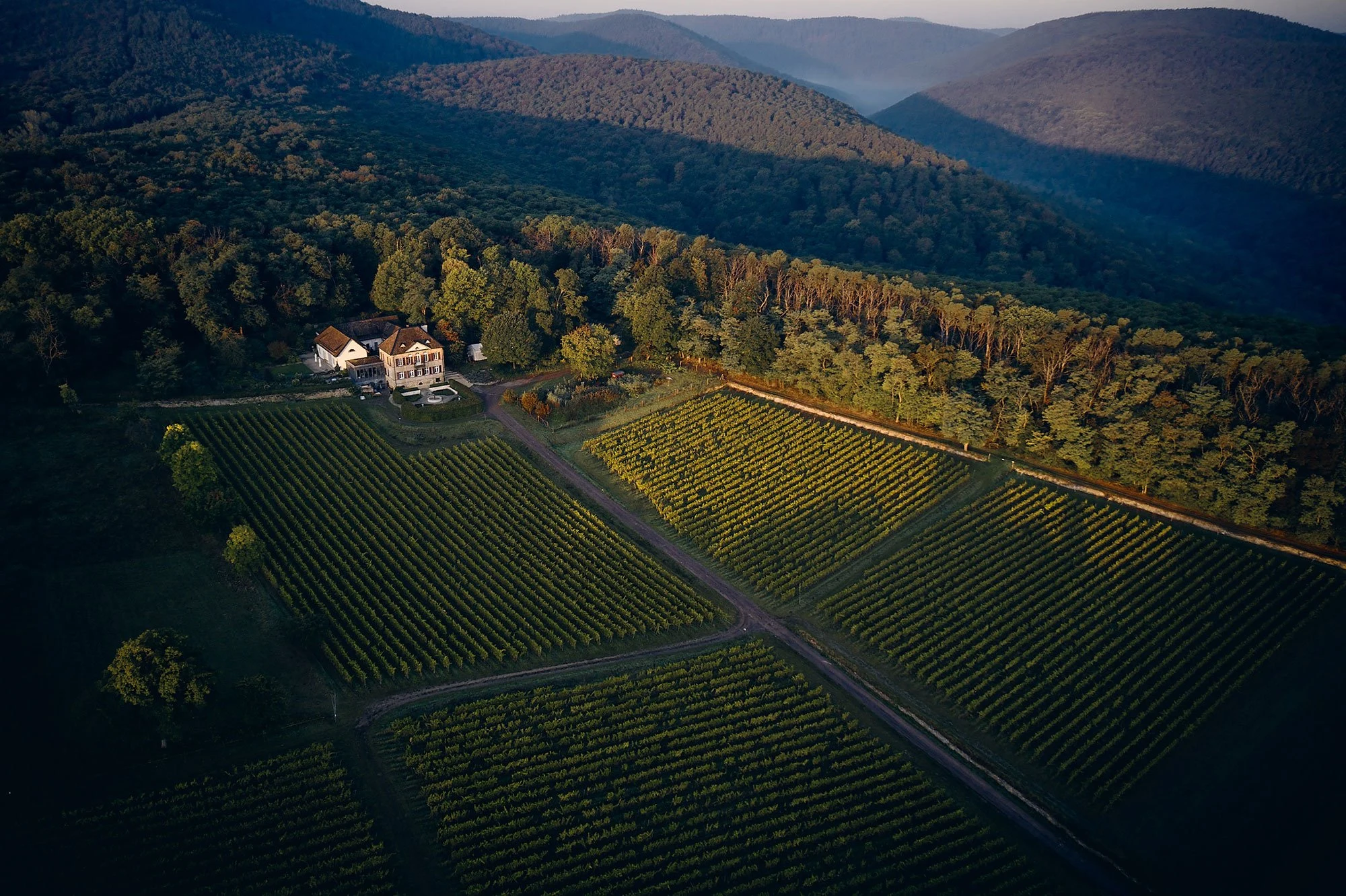 Weingut Odinstal