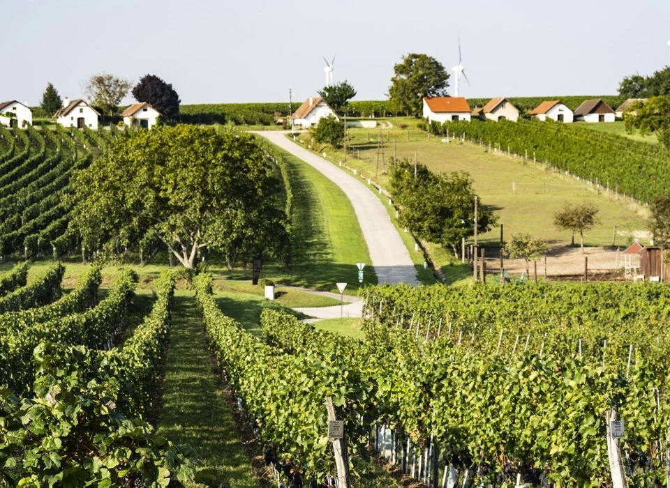 Weingut Artner