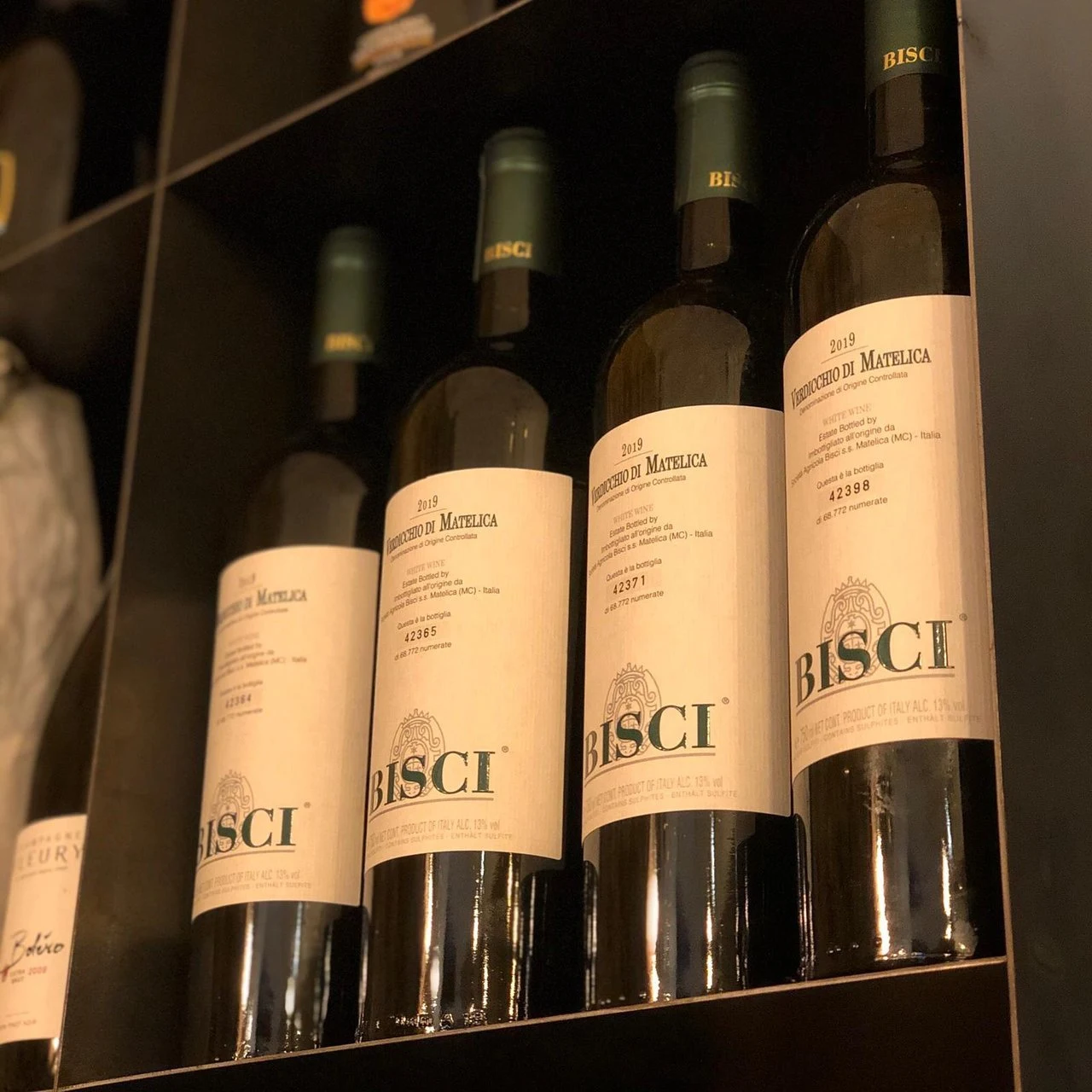 Bisci