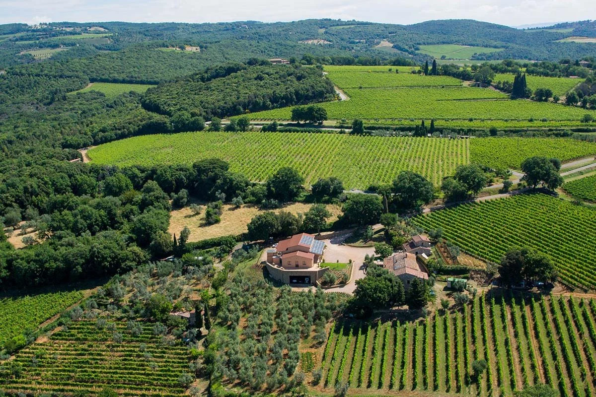 Azienda Agricola Cerbaia