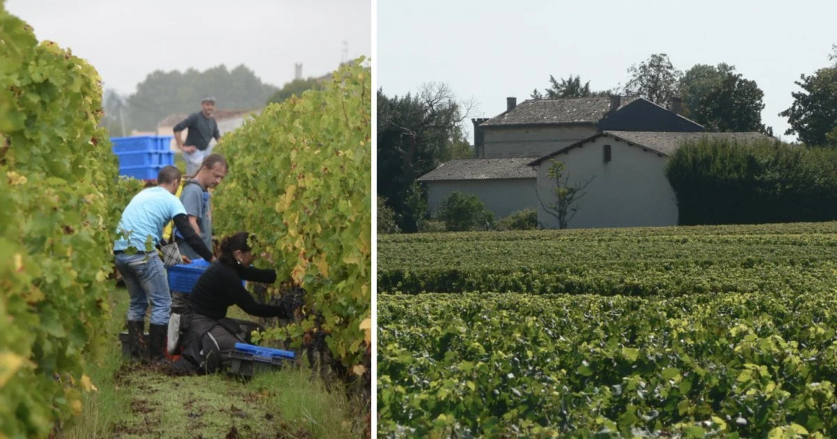 Château Croque Michotte