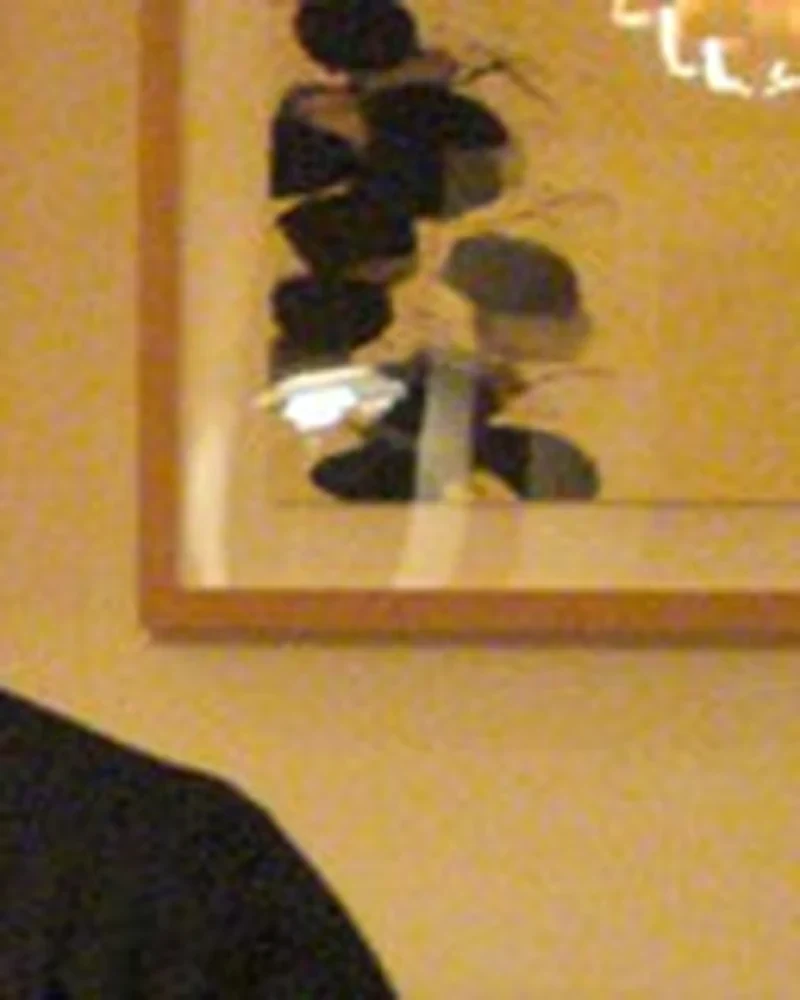 Hiroto Nakamura
