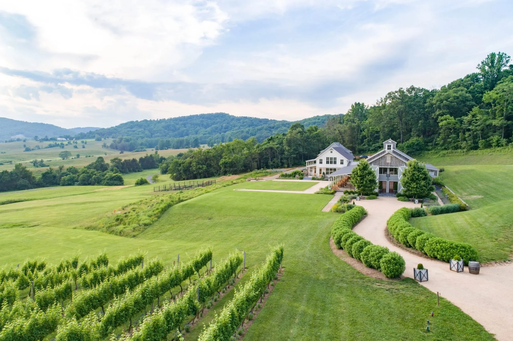 Pippin Hill Farm & Vineyards