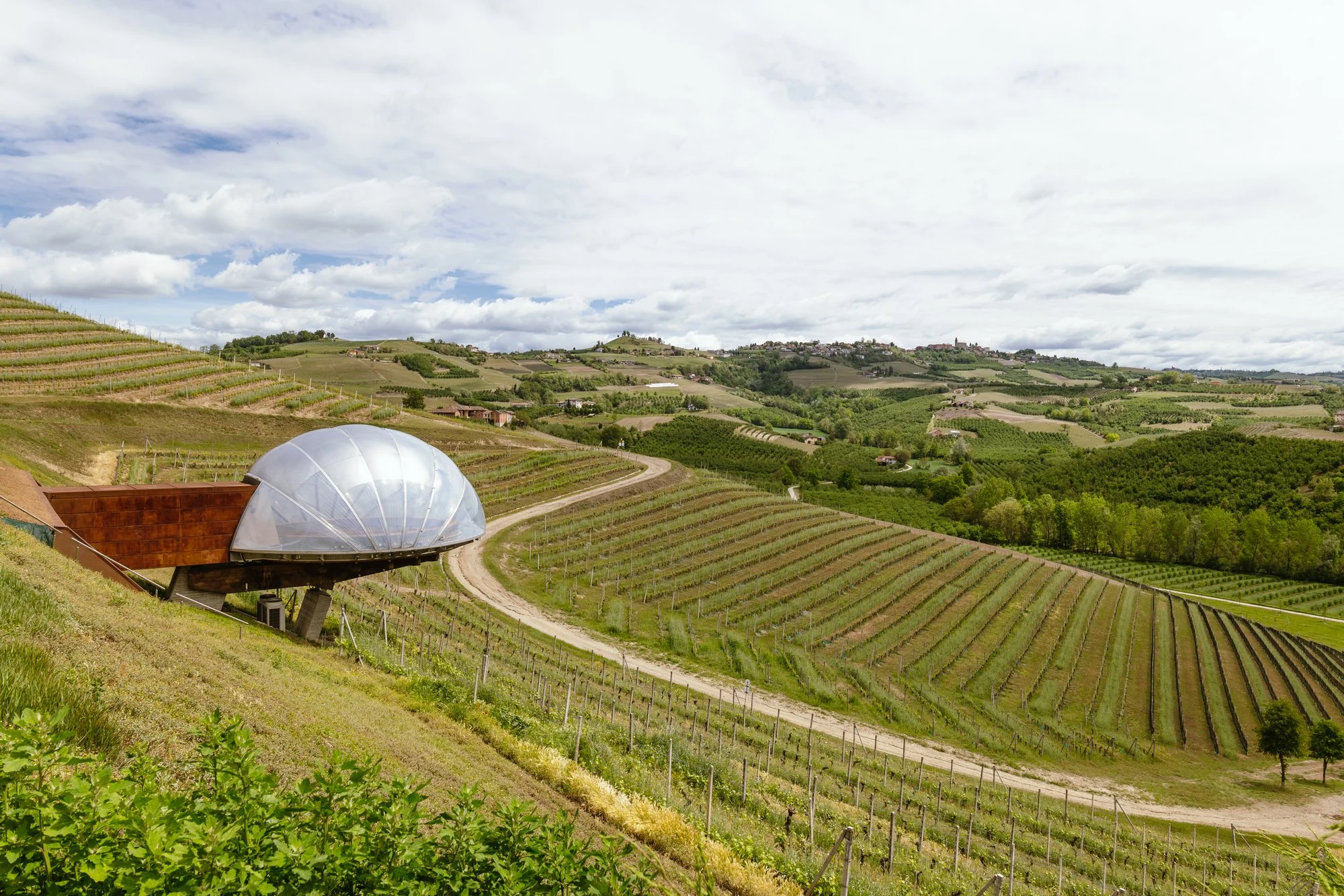 Ceretto Aziende Vitivinicole