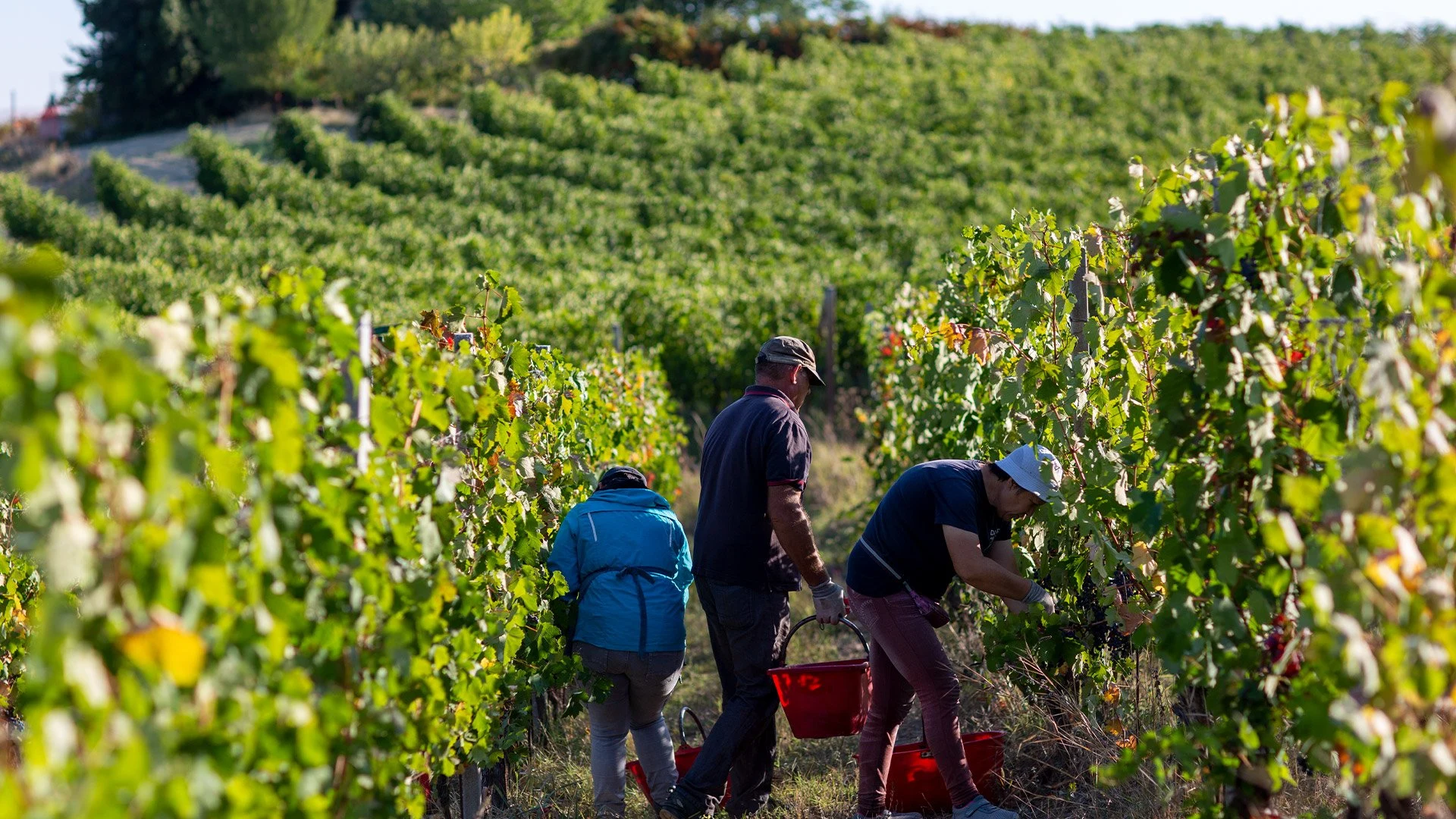 Cascina Giovinale