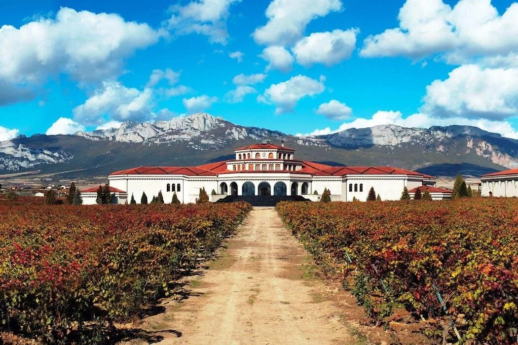 Bodegas Campillo