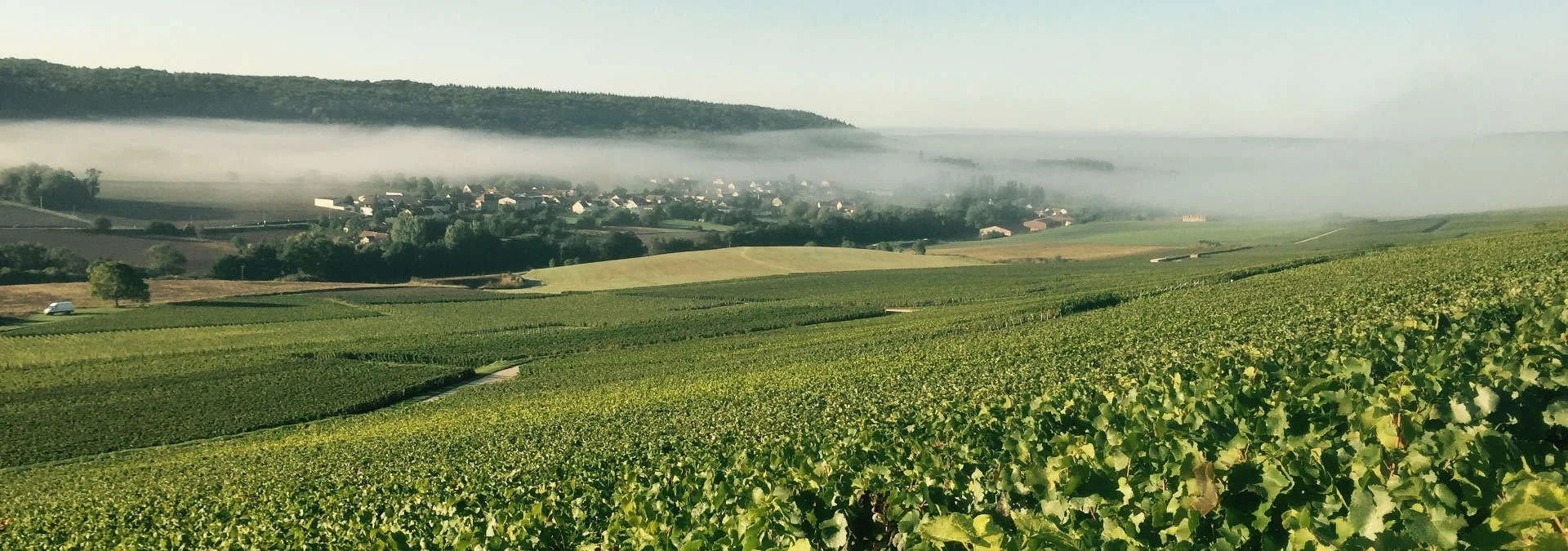 Champagne Franck Pascal