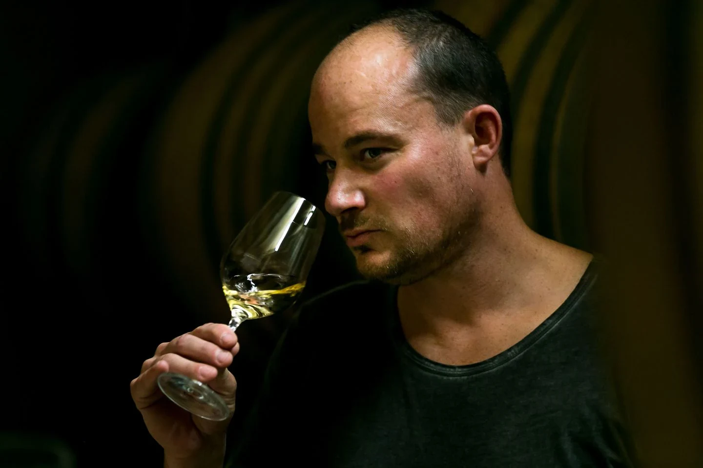 Stephan Knipser