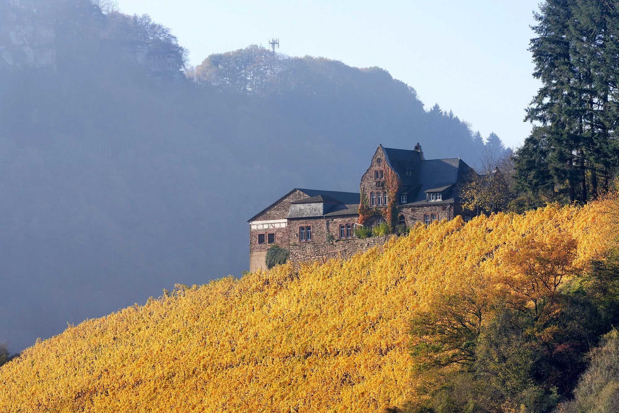 Weingut Würtzberg