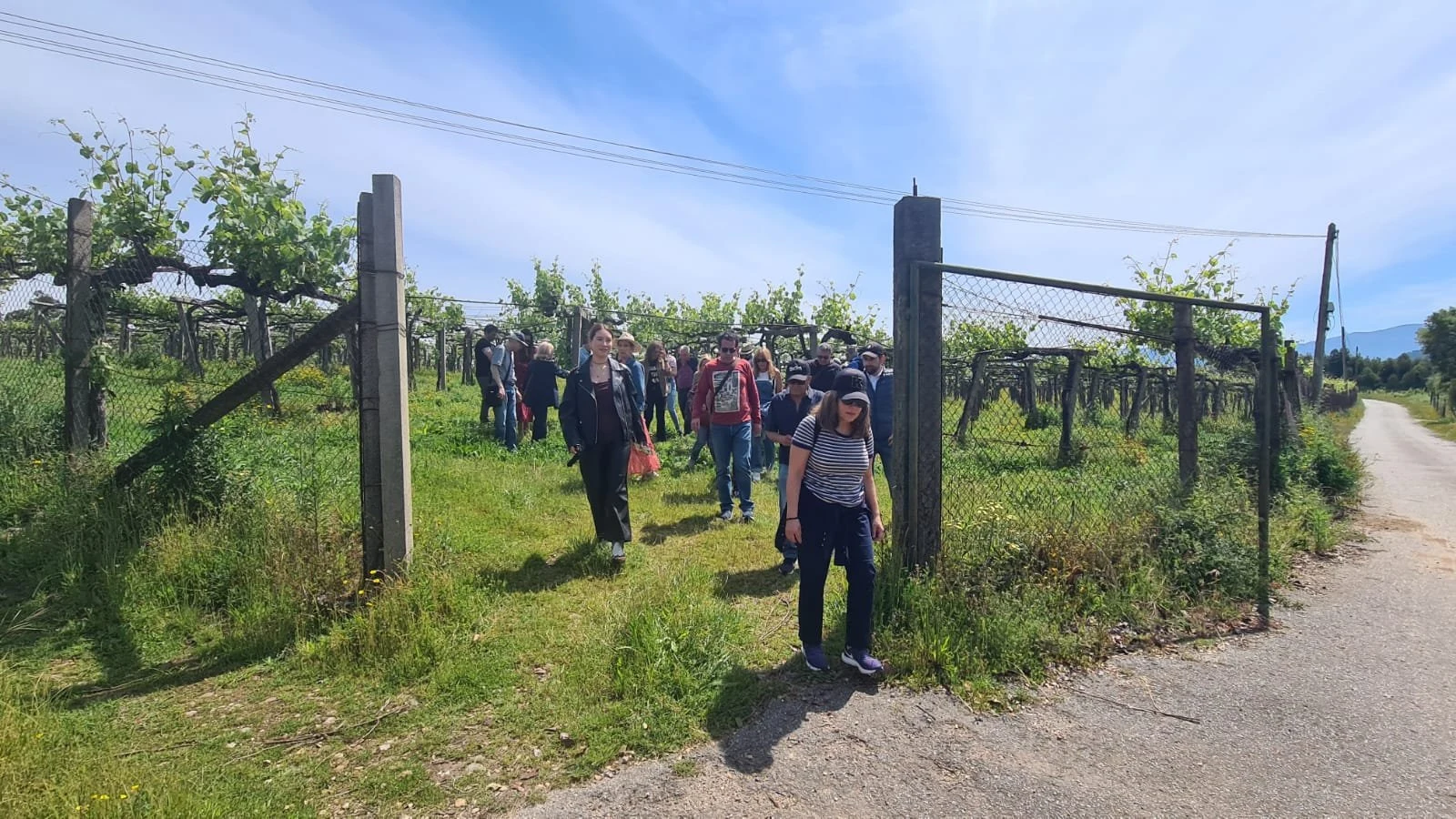 Bodega Vina Nora