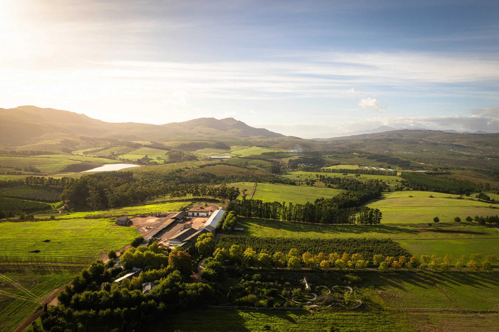 Paul Cluver Wines