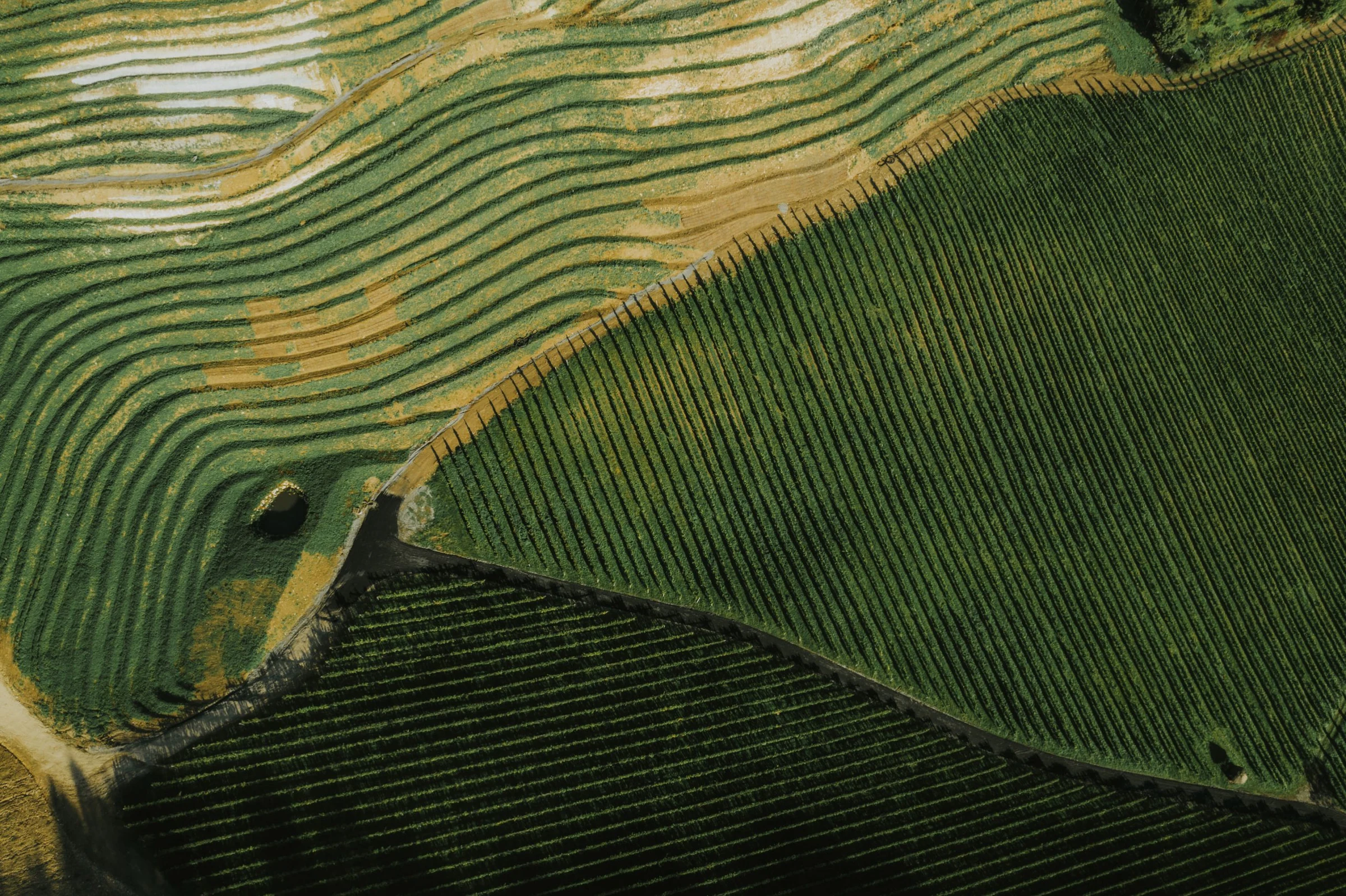 Familienweingut Tement