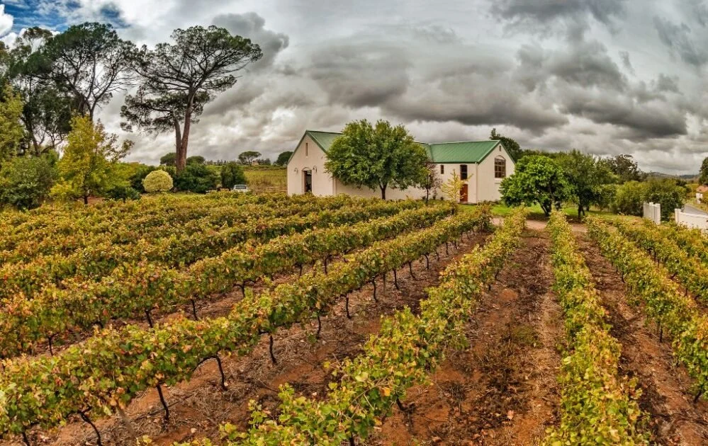 Le Riche Wines