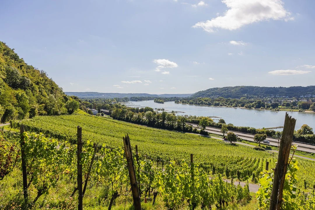 Weingut Pieper