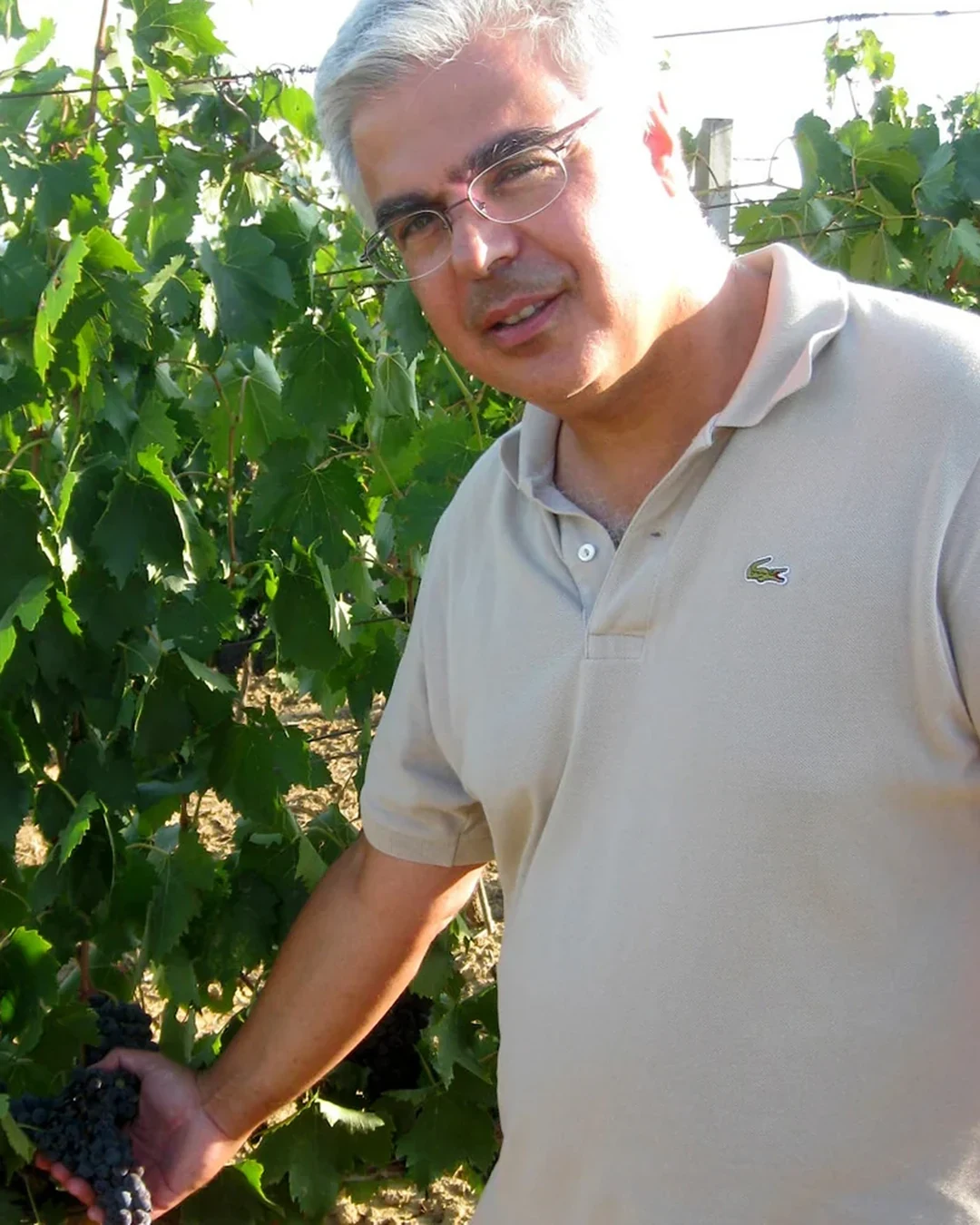 Alessandro Nieri