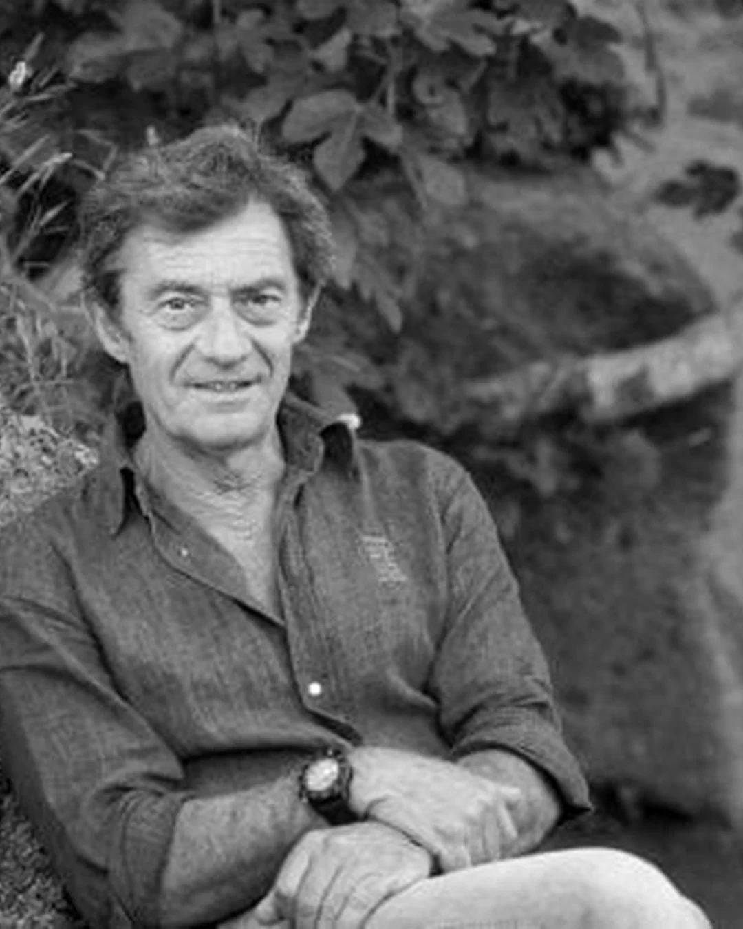 Andrea D'Ambra