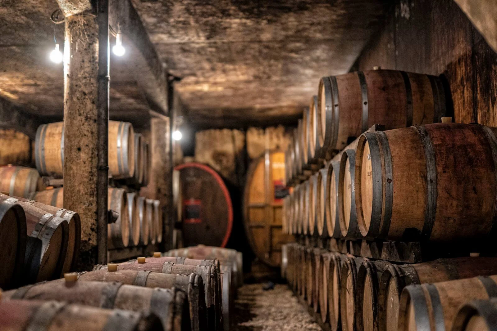 Cave du Marmandais