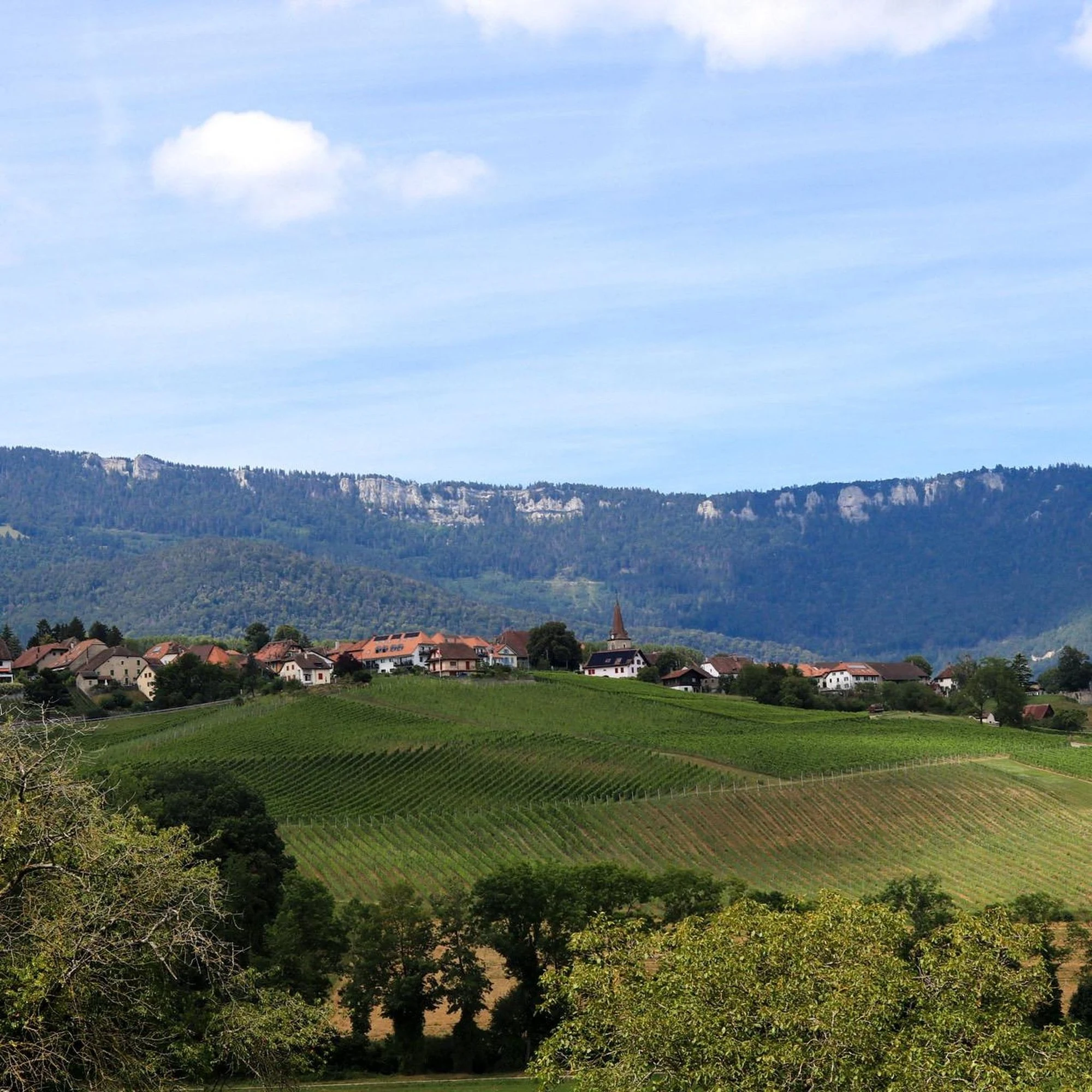 Château de Valeyres