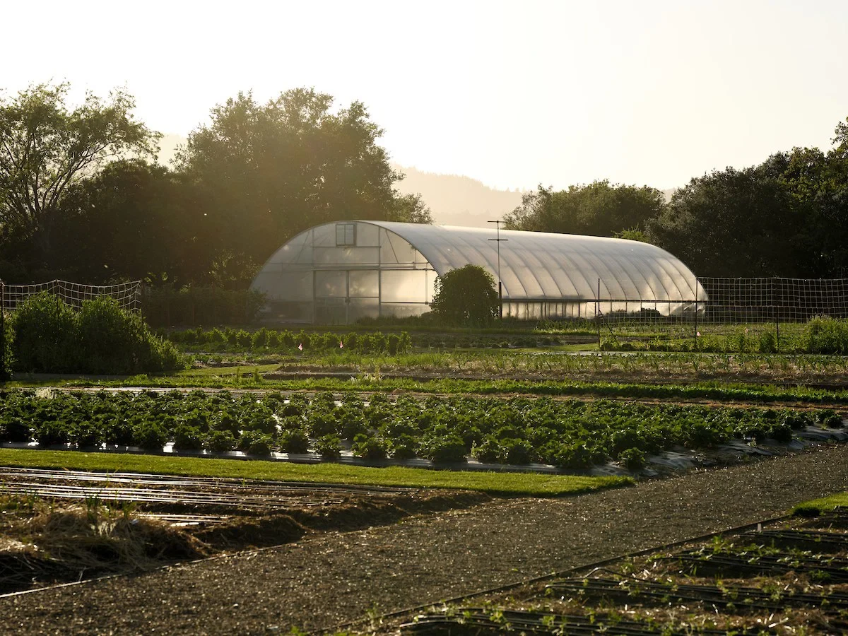 Culinary Garden Tours
