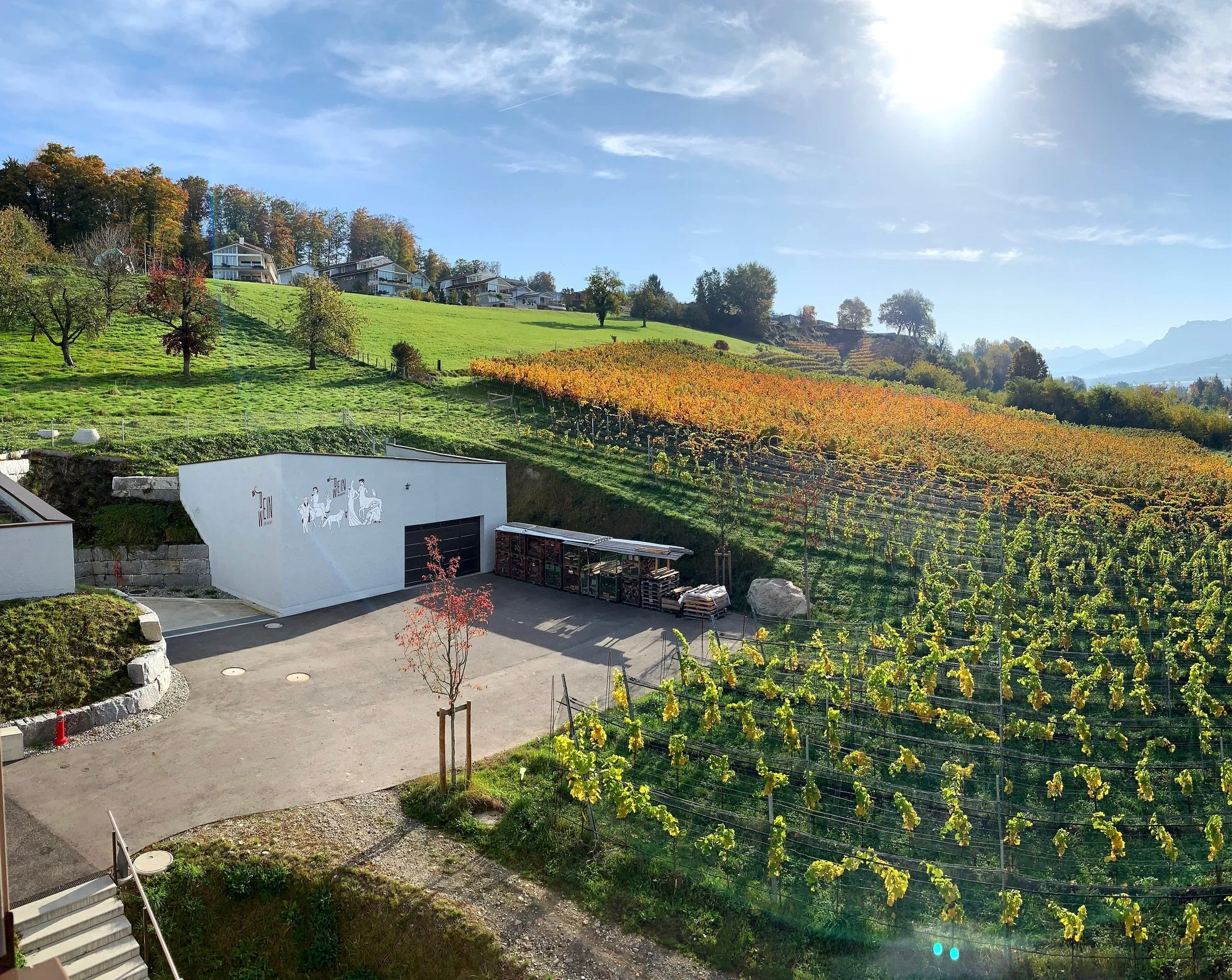 Weinbau Triengen, Barmet & Zihler