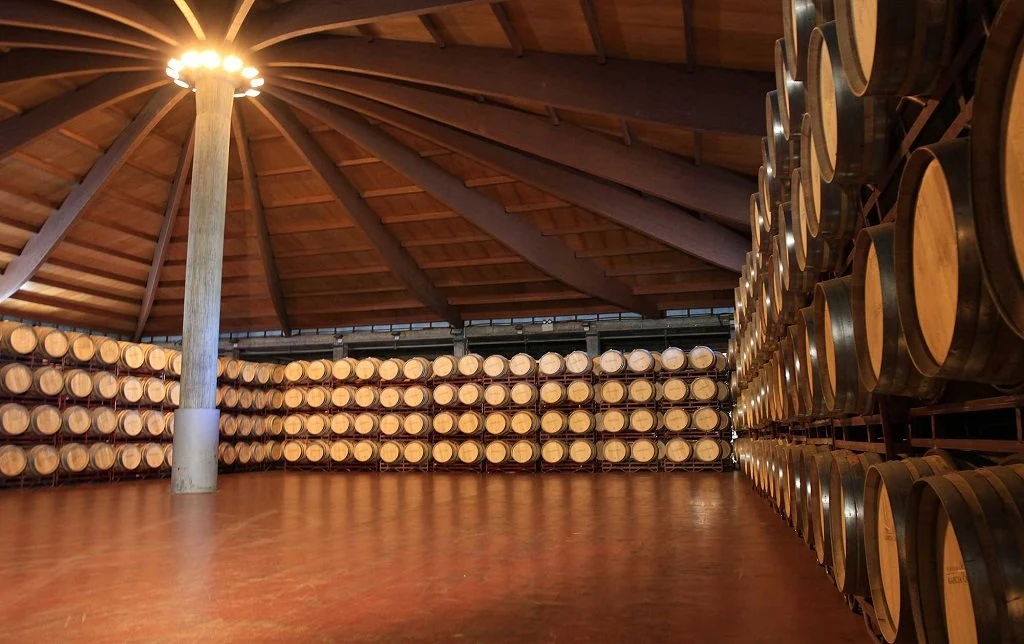 Bodegas Y Viñedos Alnardo S.L.