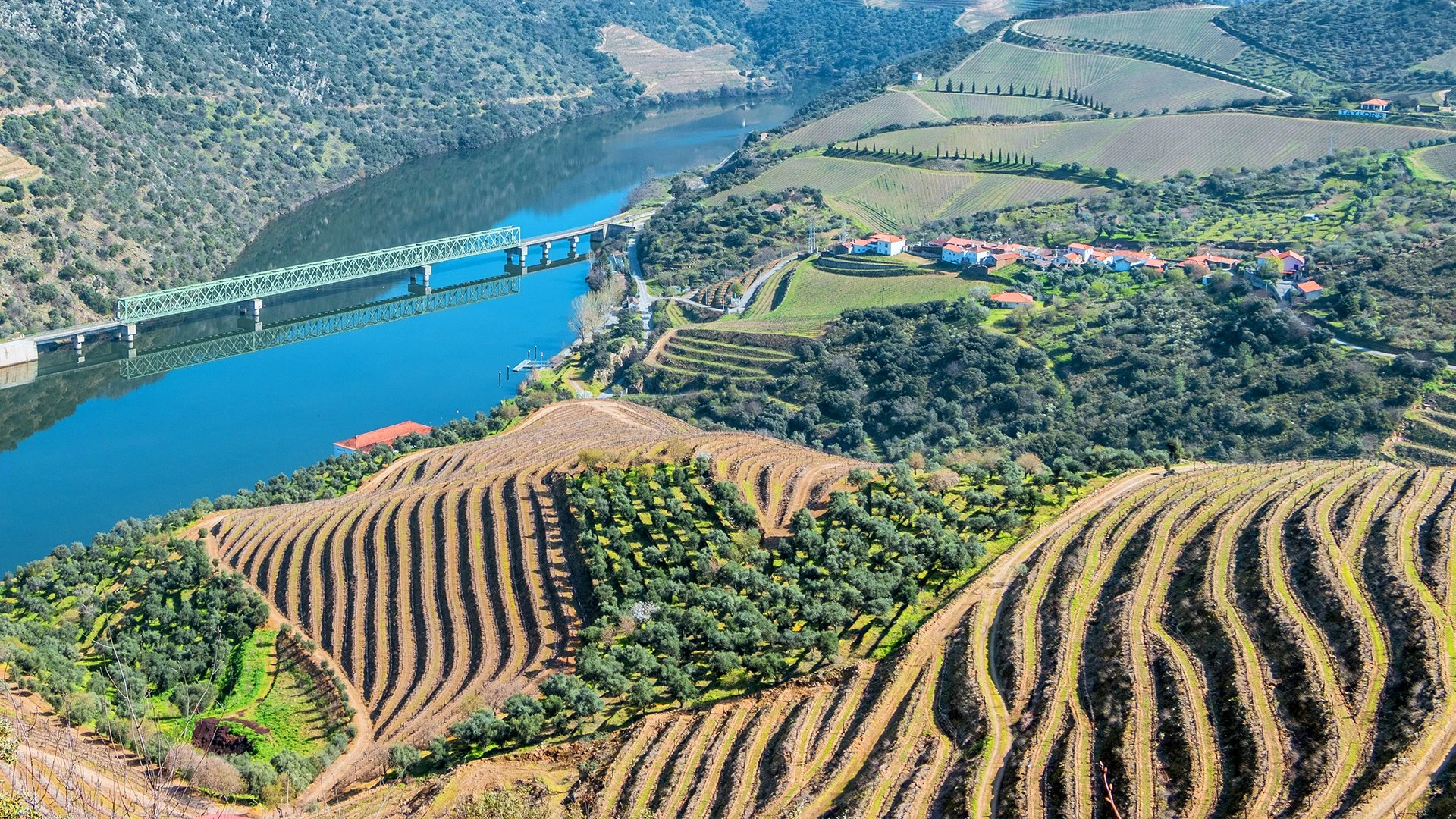 Quinta das Tecedeiras