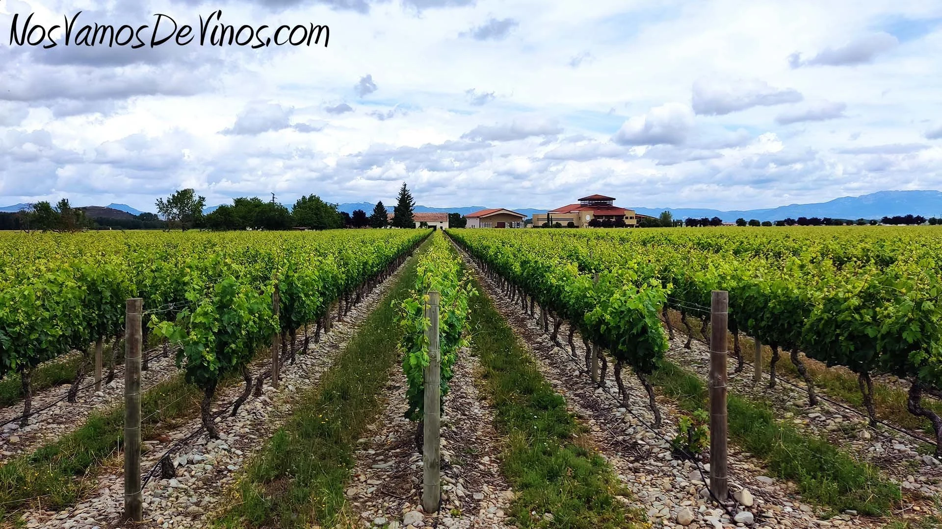 Bodegas y Viñedos Ortega Ezquerro