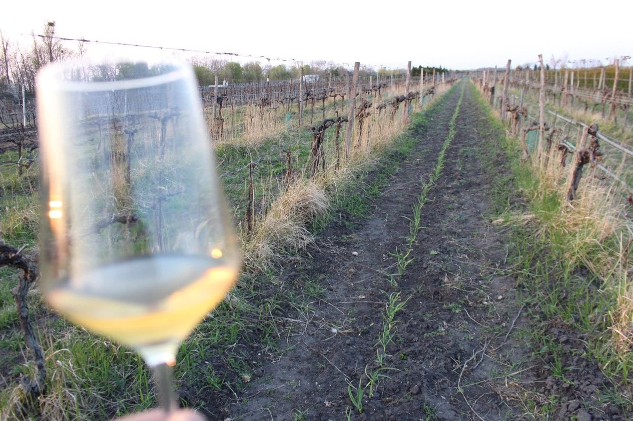 Andert-Wein