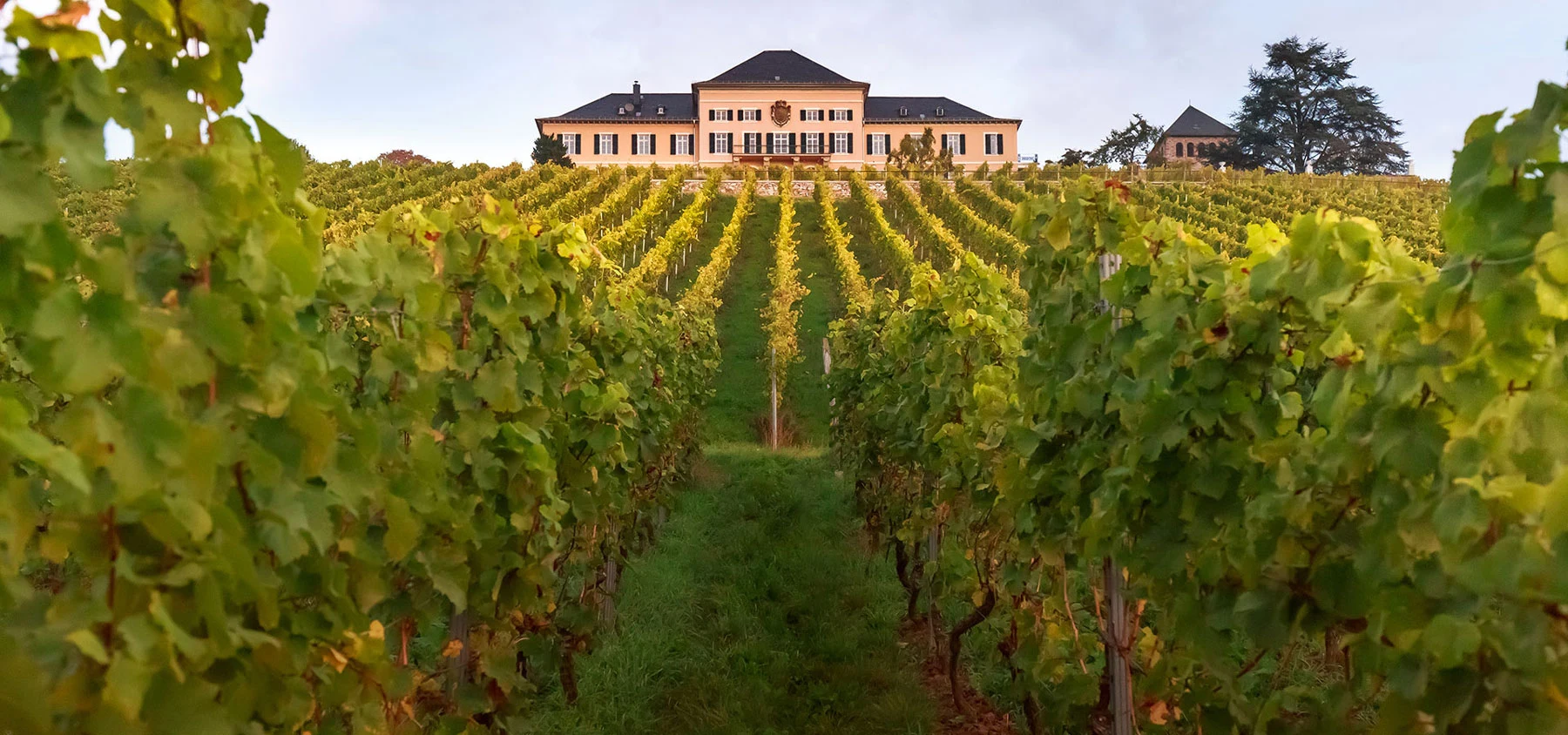 Schloss Johannisberg