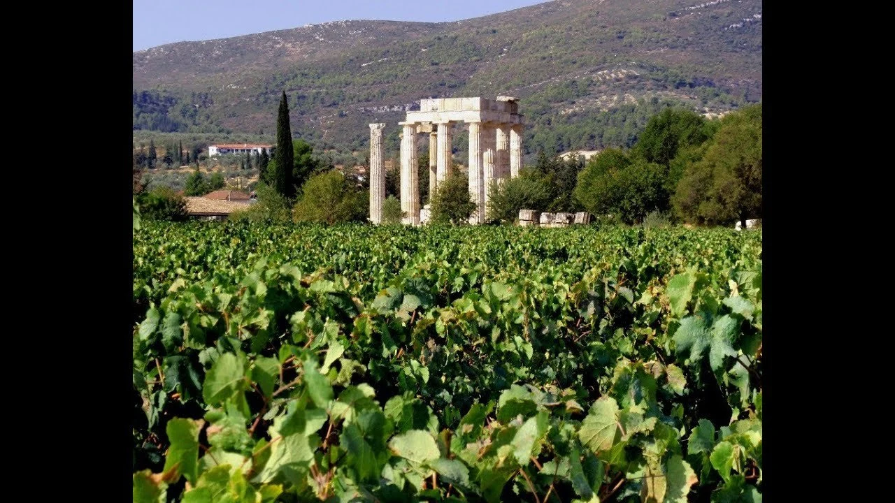 Papaioannou Vineyards