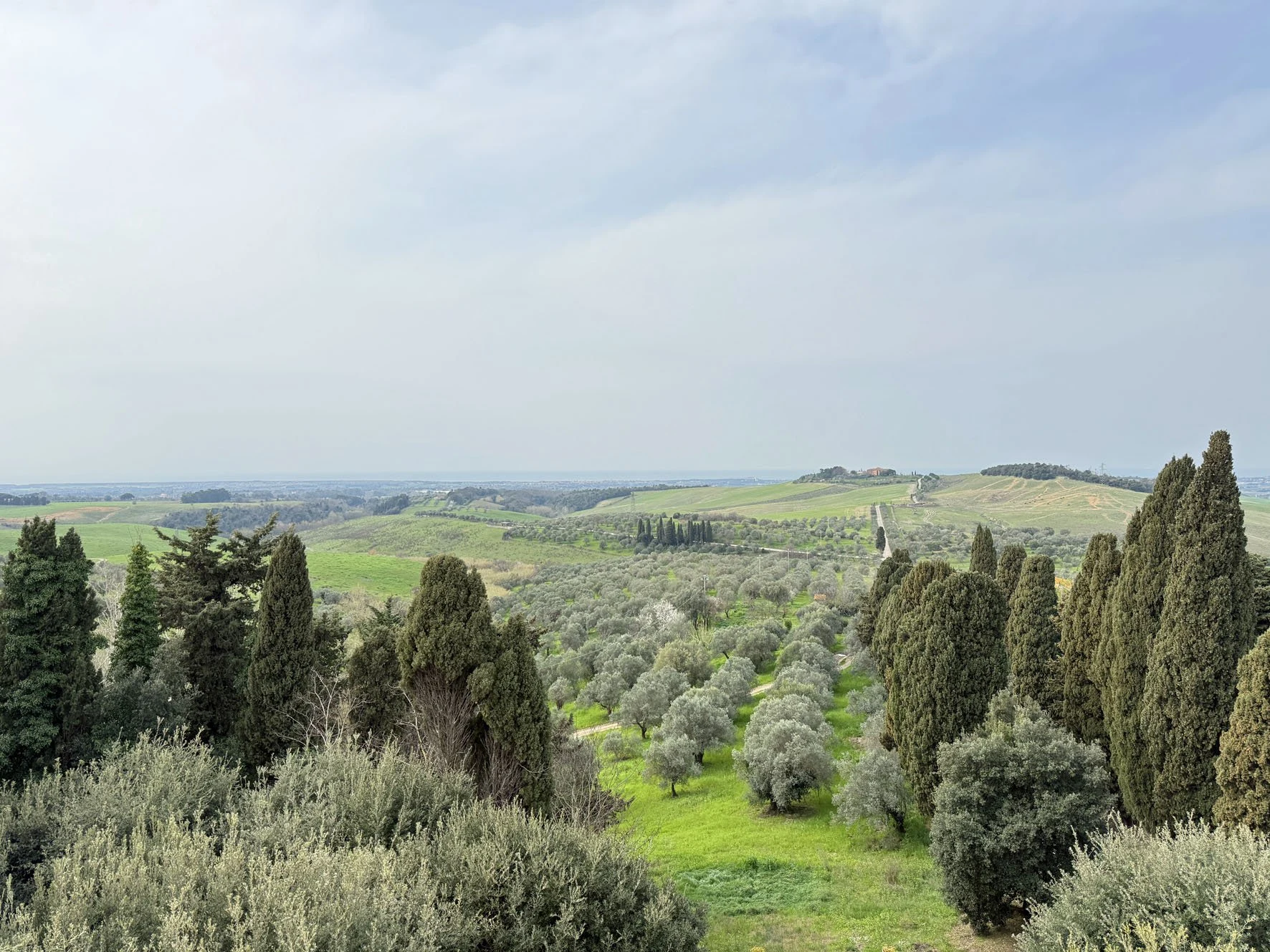 Castello del Terriccio
