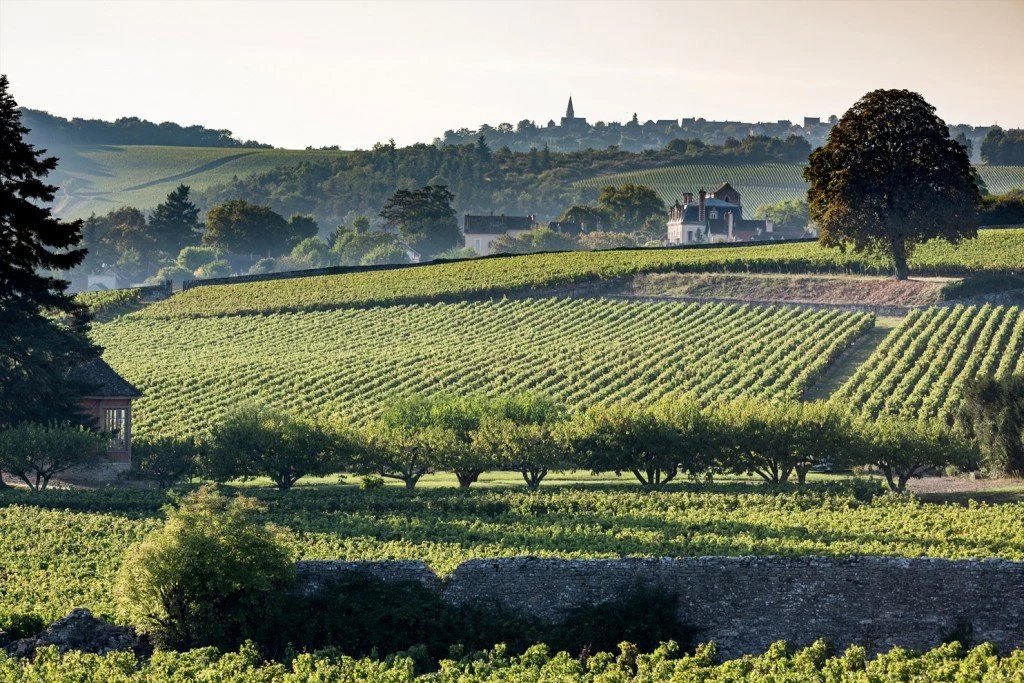 Domaine Jeannin-Naltet