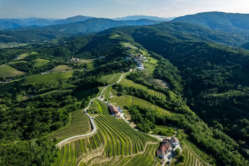 Tenuta Stella