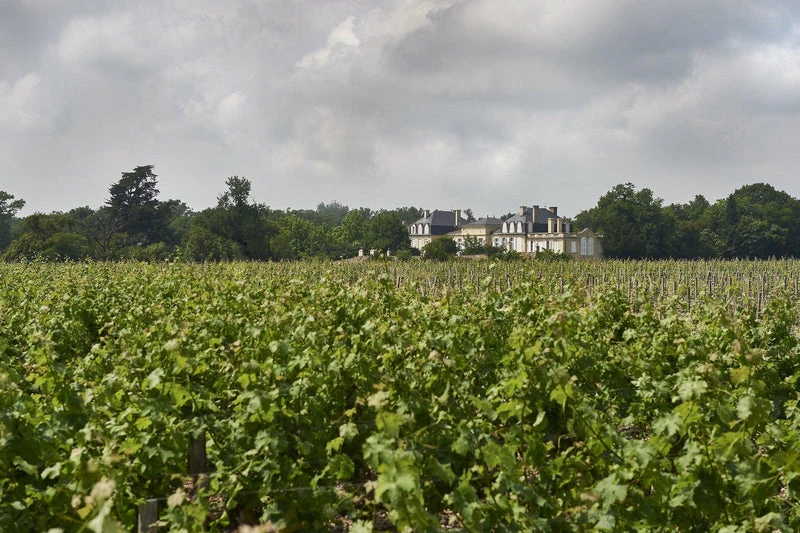 Château Léoville Barton