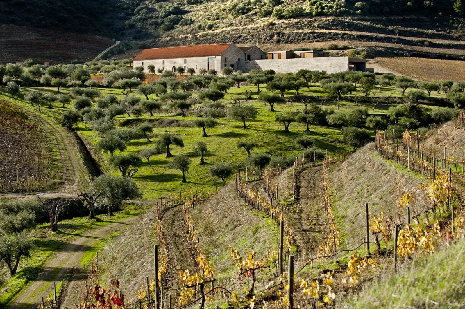 Quinta do Vale Meão