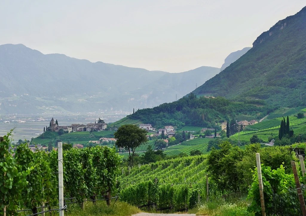 Kellerei Tramin