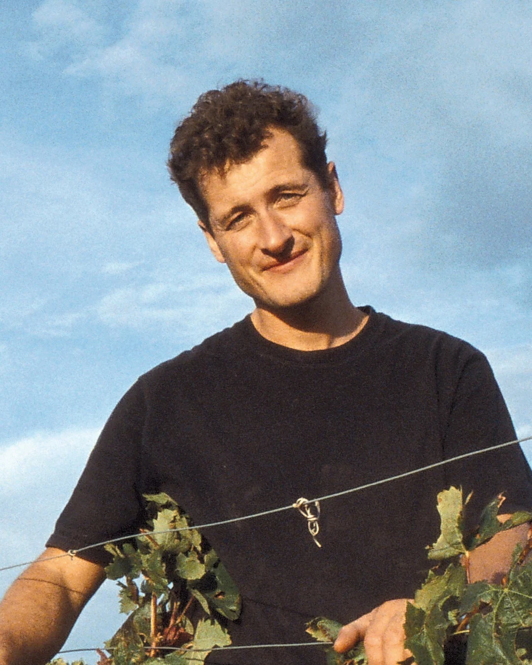Monty Waldin