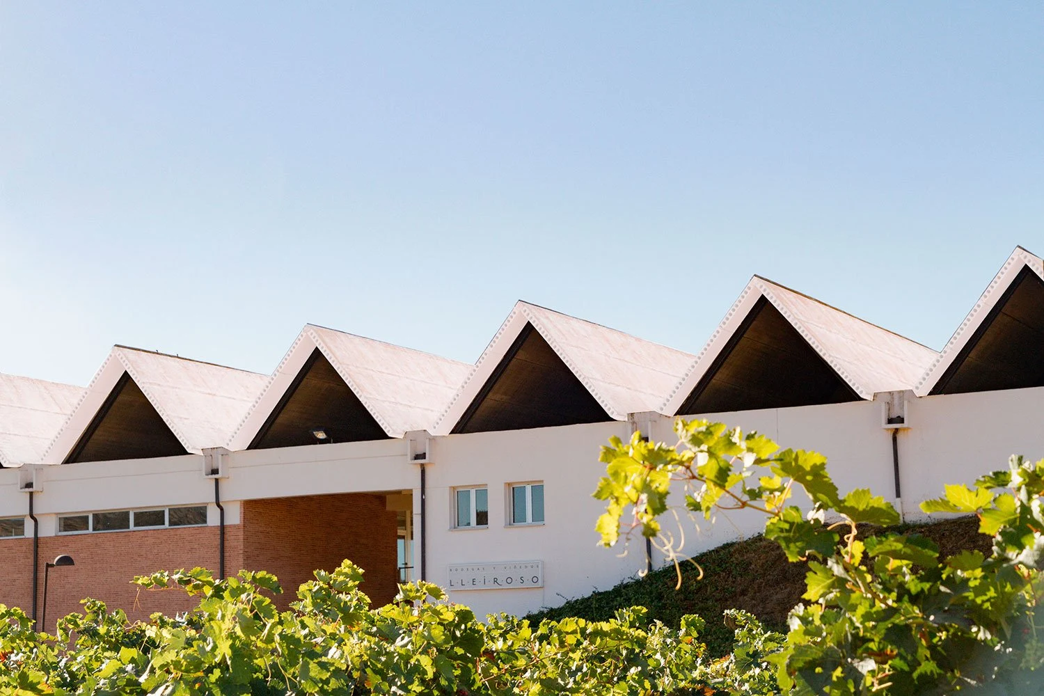 Bodegas y Viñedos Lleiroso